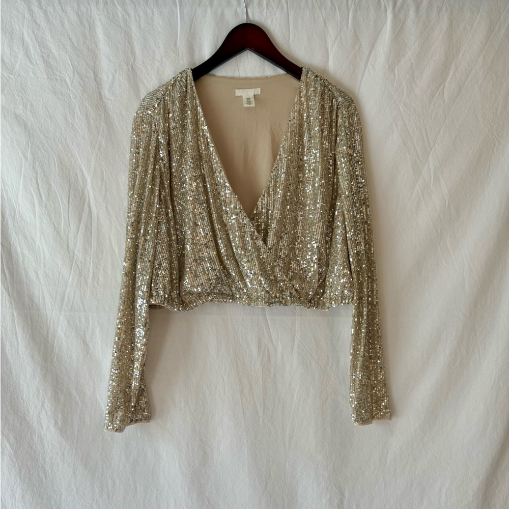 H&M Sequin Cropped V-Neck Blouse